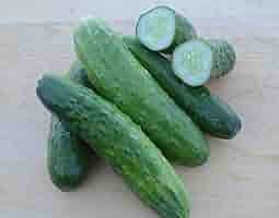 【cucumber】 81ZHHjIxq-L._UF350,350_QL50_.jpg